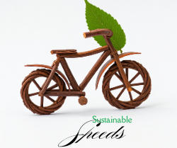 Sustainable speeds